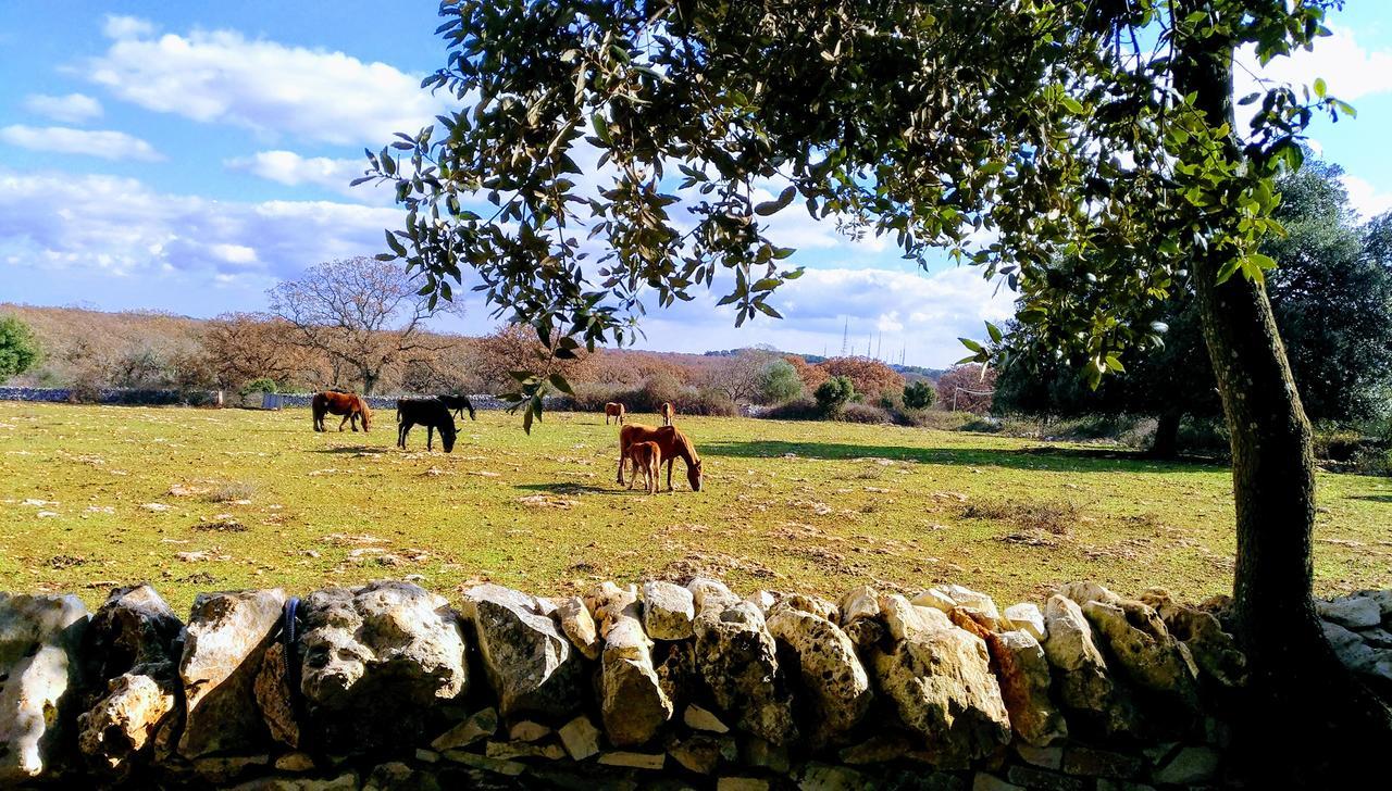 Agriturismo Iazzo Scagno Мартина Франка Екстериор снимка