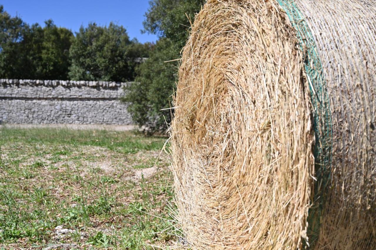 Agriturismo Iazzo Scagno Мартина Франка Екстериор снимка